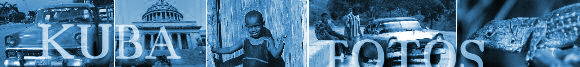 Fotos_NBanner1