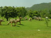Park der Dinos